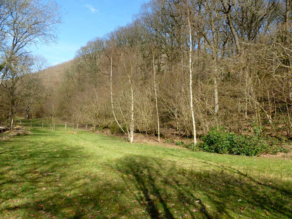 The meadow below the Cablogin Studio