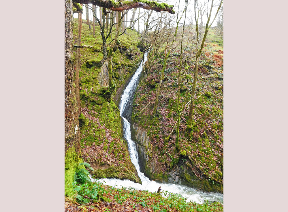 Waterfall from the road near Raven's Retreat