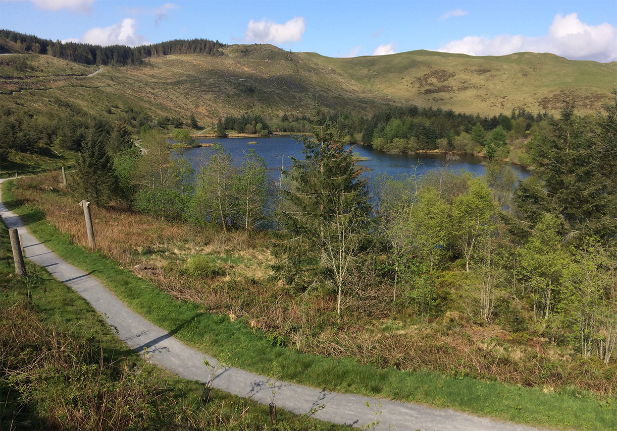 Kite Feeding Centre Nant yr arian, Aberystwyth