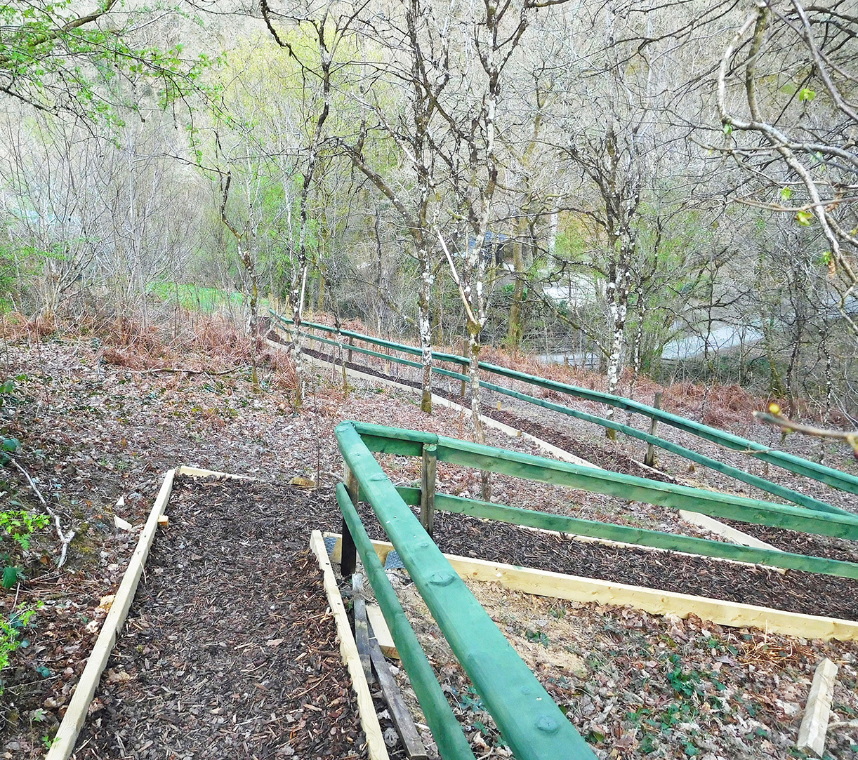 Pathway through the woods to the Cablogin Studio